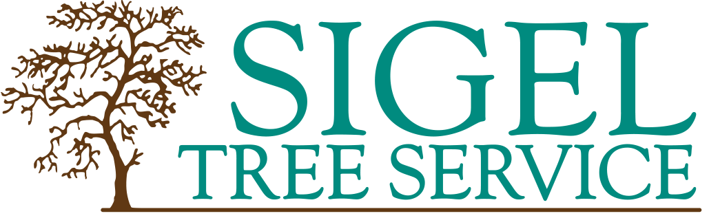 Sigel Tree Service logo