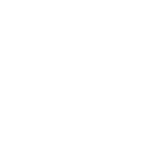 Deck Cleaning icon_white