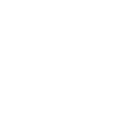 Roof and Gutter icon_white