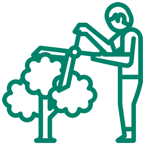 Triming and Pruning icon