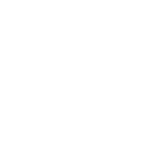 pressure washer icon_white