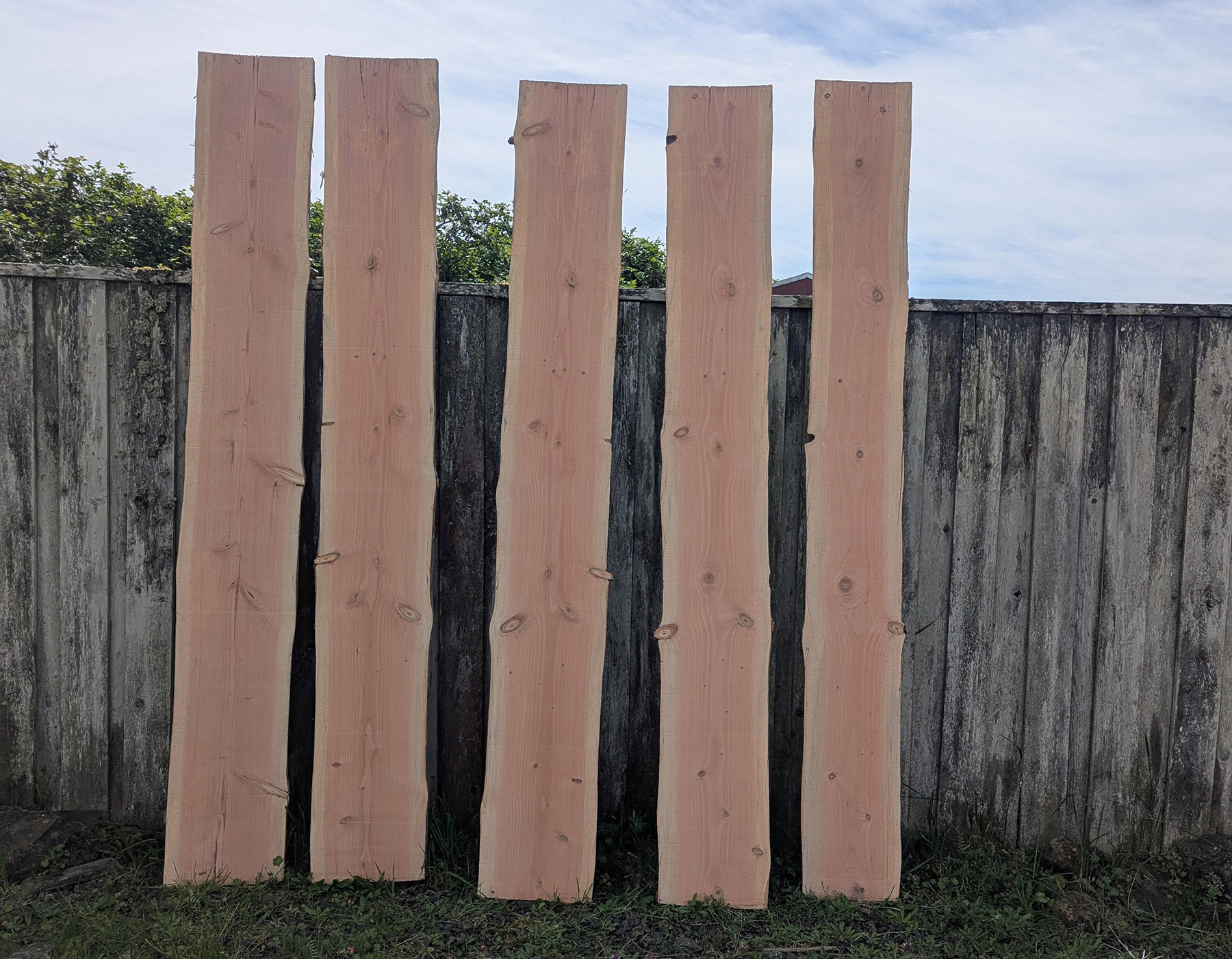 Doug Fir boards